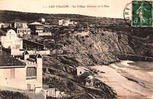 CAP FALCON (1056)